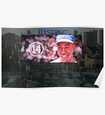 Mr. Cub Forever Poster