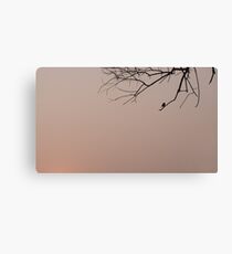 Silhouette of bird and twigs Canvas Print