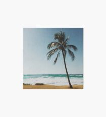 Palm Tree By The Beach Art Board