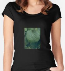 green leave Women's Fitted Scoop T-Shirt