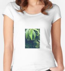 green leave Women's Fitted Scoop T-Shirt