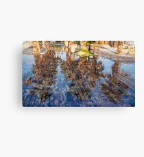 Reflection of palm trees in the water Canvas Print
