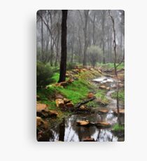 Whirl Pool Metal Print