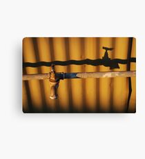 Precious... Canvas Print