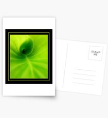 Green spiral Postcards