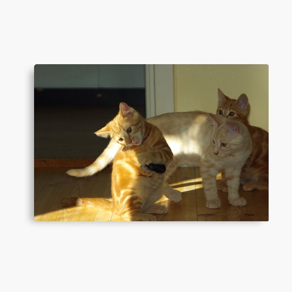 You could have a tiny bit Canvas Print