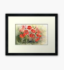 Field Poppies Framed Print