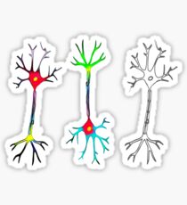 Neuron Neurons colors stickers Sticker