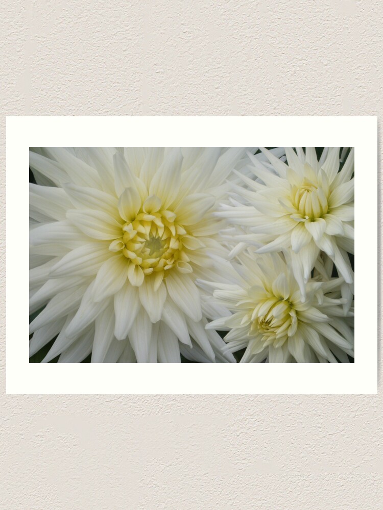 Alternate view of The Flowers That Be - I Art Print