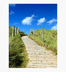 Through the Dunes Photographic Print