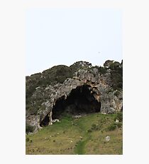 Nature's Creation Photographic Print