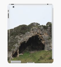 Nature's Creation iPad Case/Skin