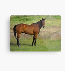 Magestic Metal Print