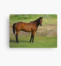 Magestic Canvas Print