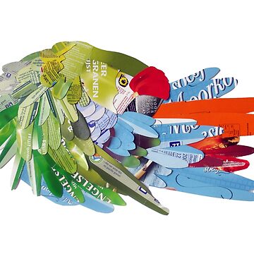 Artwork thumbnail,  Macaw rearranging feathers by Packeredo