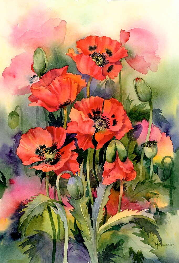 "Oriental Poppies" by artbyrachel | Redbubble