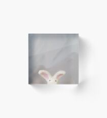 The Peekin' Bun Bun - Needle Felt Art Acrylic Block