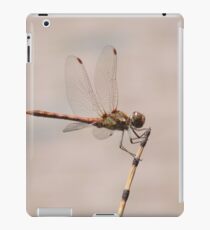 Foto DragonFly iPad Case/Skin