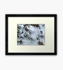 Patterns. Framed Print