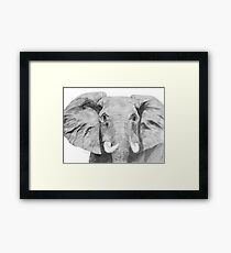 Elephant Framed Print