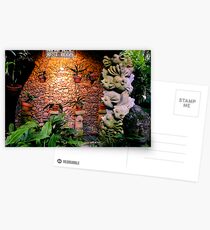 Rest Room, Murni's Warung, Ubud, Bali Postcards
