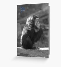 Life Is Like A Monkey Greeting Card