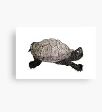 turtleman Canvas Print