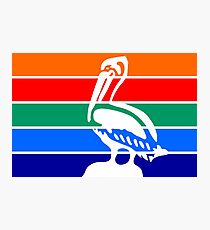 Flag of St. Petersburg, Florida | United States Photographic Print