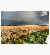 A landscape in HDR Poster