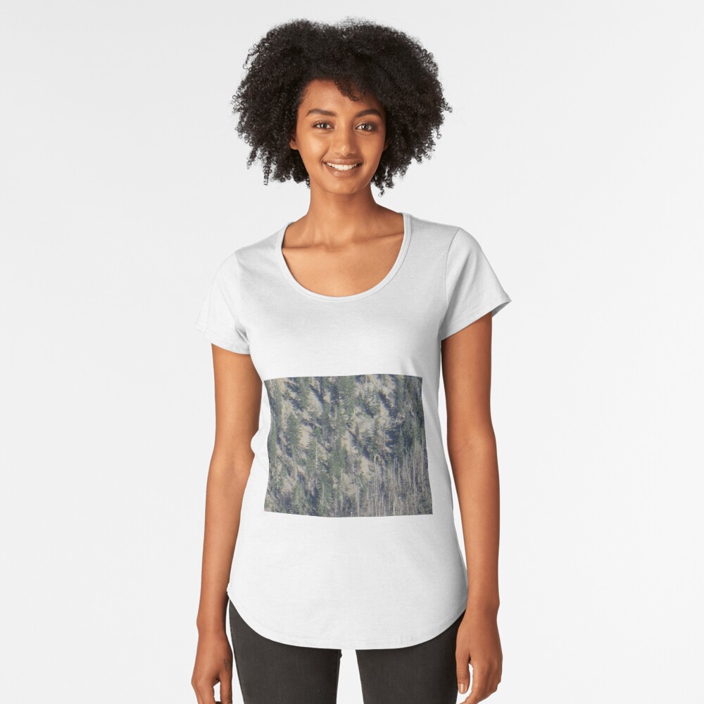 Frühlingsgebirgs-Waldlandschaft Premium Rundhals-Shirt