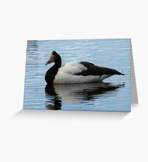 Magpie Goose at Edithvale Wetlands Greeting Card