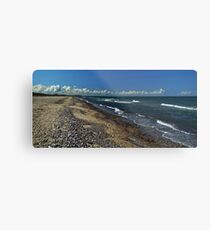 strand Metal Print