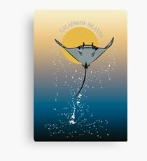 Galapagos Mantarraya Canvas Print