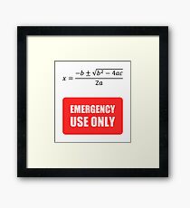 Useless Math Framed Print