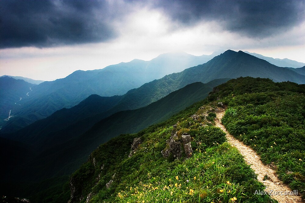 "Ridge Path Deogyusan National Park, South Korea" by Alex Zuccarelli