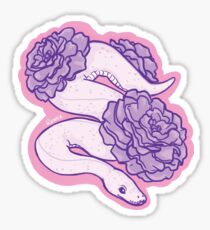 Pink Python Sticker