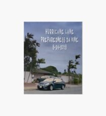 Hurricane Lane Preparedness Da Kine 8-24-2018 Art Board