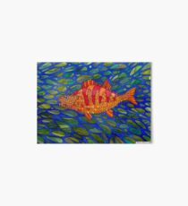 427 - STYLISED PERCH - DAVE EDWARDS - WATERCOLOUR - 2018 Art Board