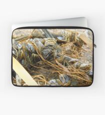 Zebramuscheln Laptoptasche
