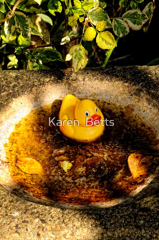 "A Rubber Duck in my Bird bath." by Karen Betts | Redbubble