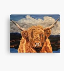 Highland Cow Canvas Print
