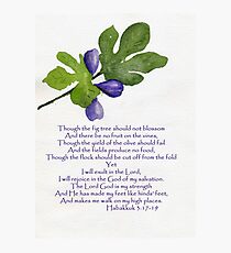 Hoffnung - Habakkuk 3: 17-19 Fotodruck
