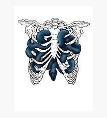 serpent soul Photographic Print