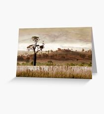 Gondwana Boab Greeting Card