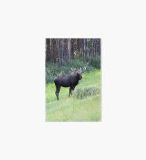 Moose Art Board