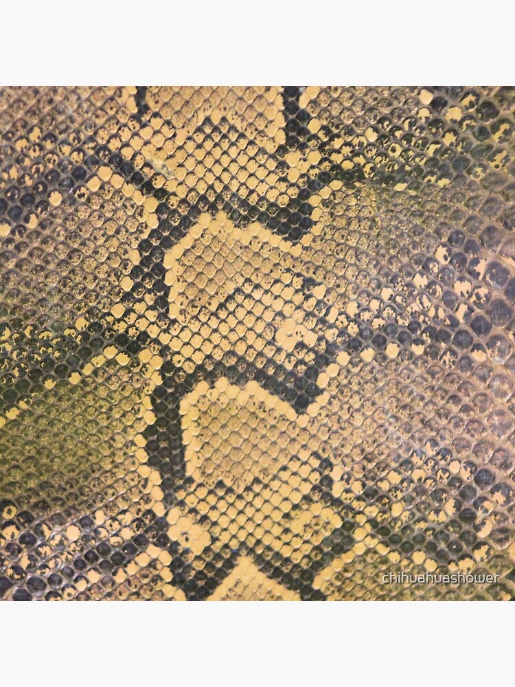Snakeskin by chihuahuashower