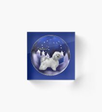 Havanese Weihnachtskunst-Geschenke Acrylblock
