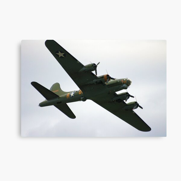 Sally B Flies Again! Canvas Print