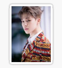 IDOL - Jimin Sticker