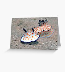Beautiful risbecia Greeting Card